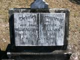 image of grave number 801667